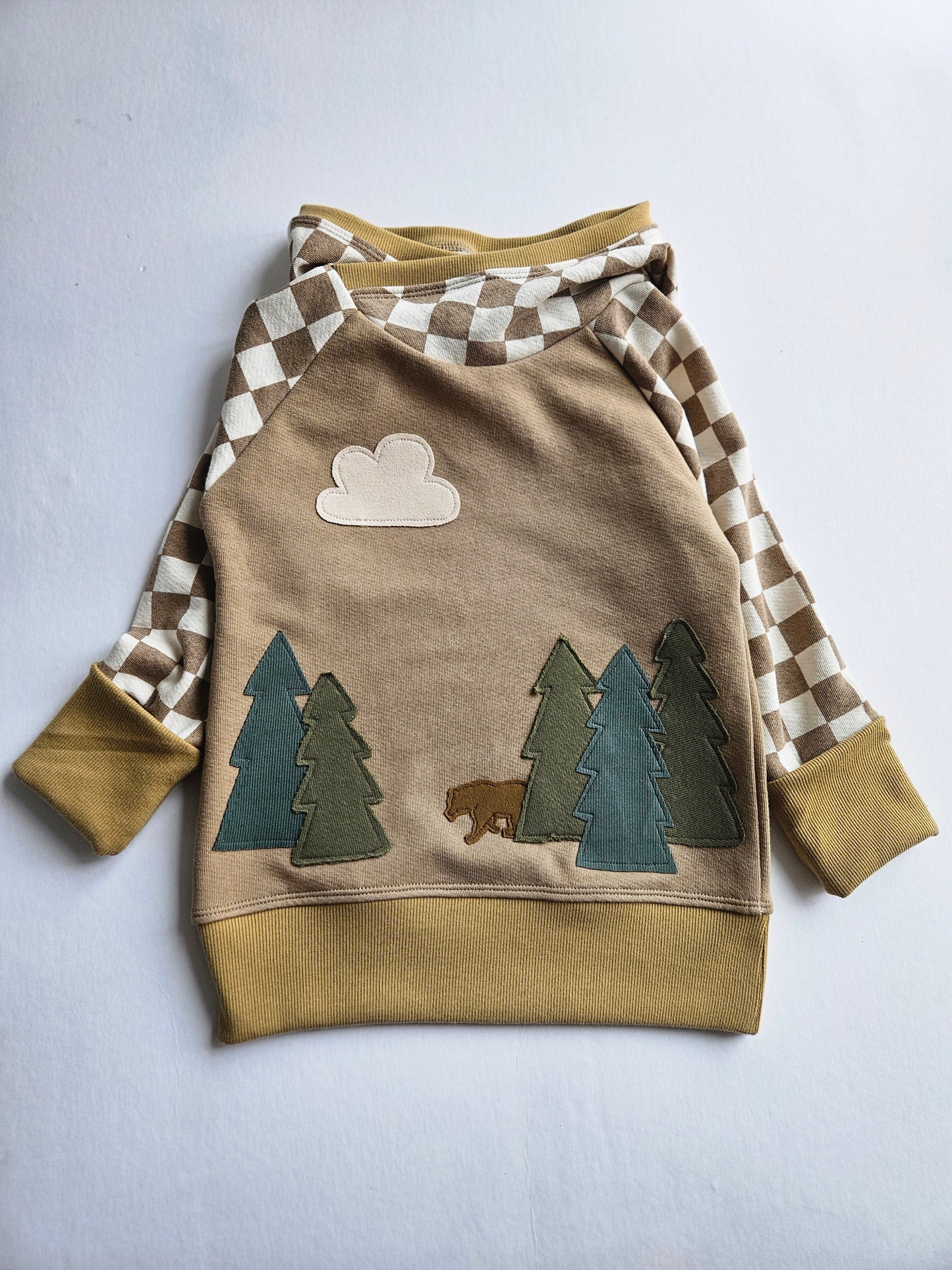 3-6 Years Bear Forest Grow With Me Hoodie