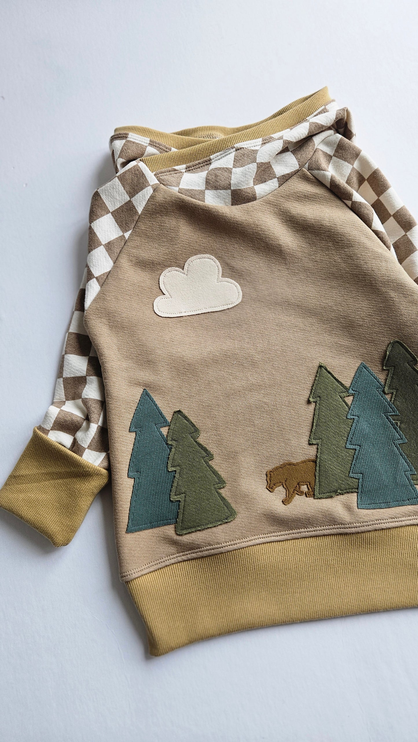3-6 Years Bear Forest Grow With Me Hoodie