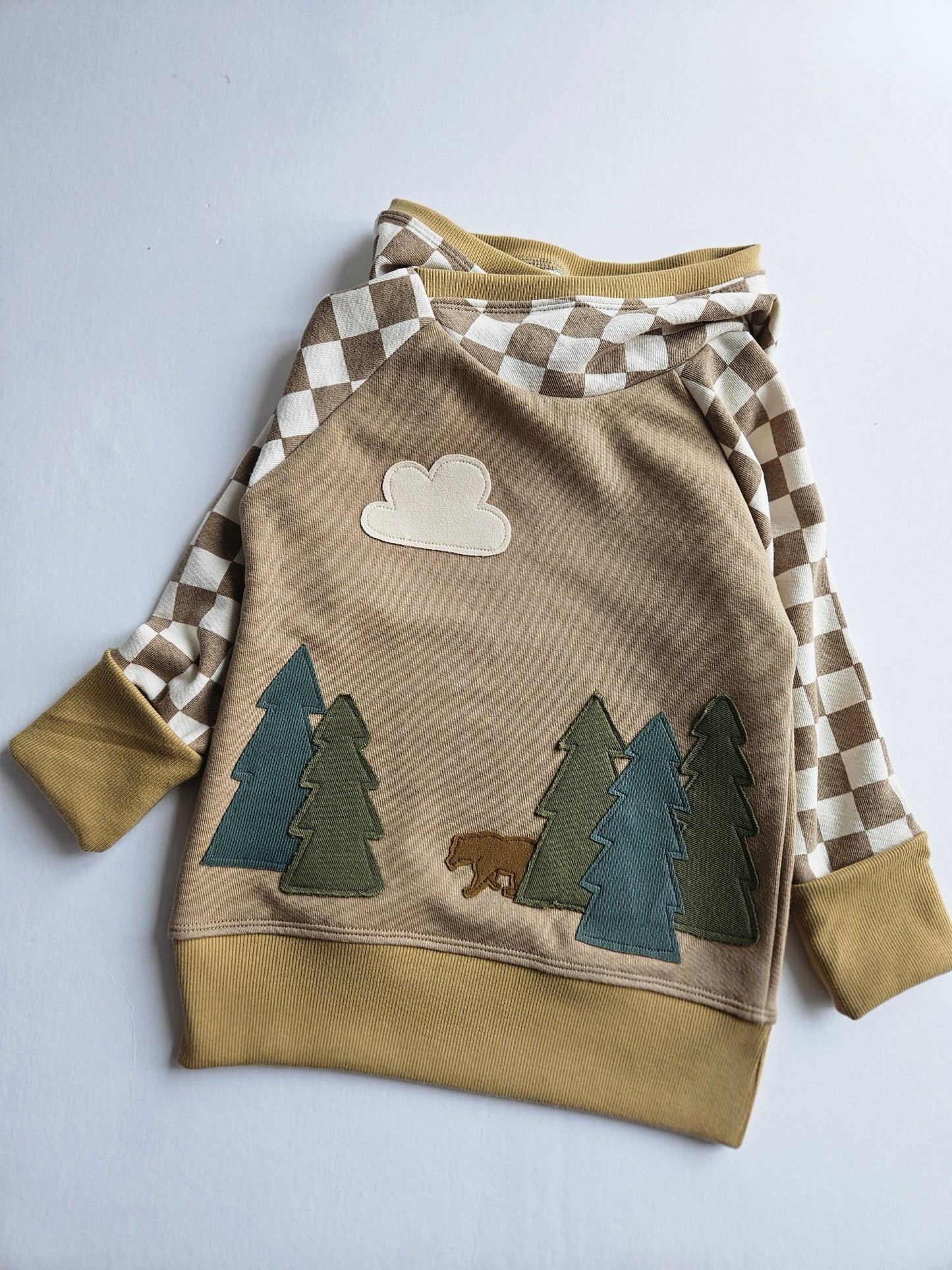 3-6 Years Bear Forest Grow With Me Hoodie