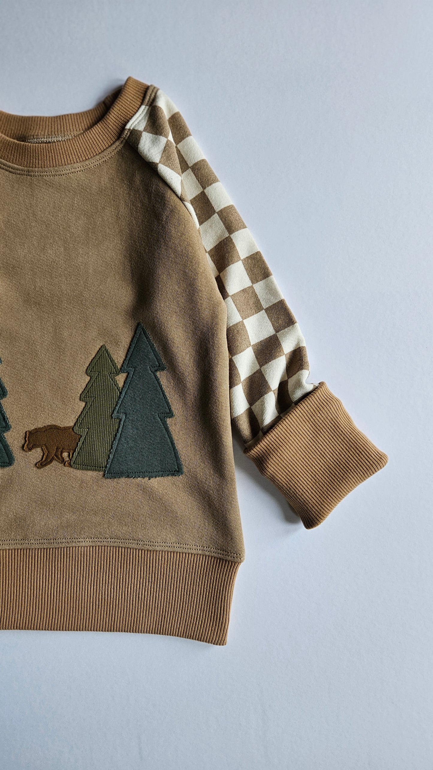 3T- 6 Years Forest Bear Grow With Me Pullover