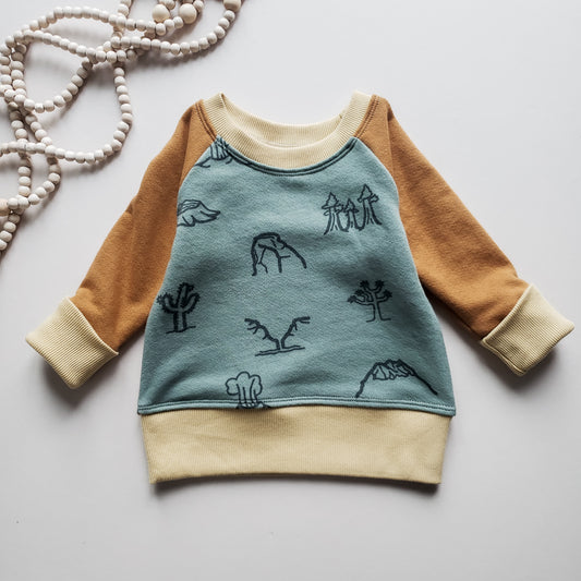 03-12M Grow With Me Pullover- Cactus Print